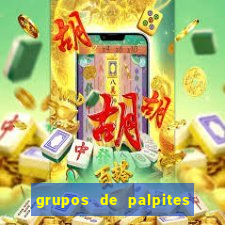 grupos de palpites de futebol whatsapp